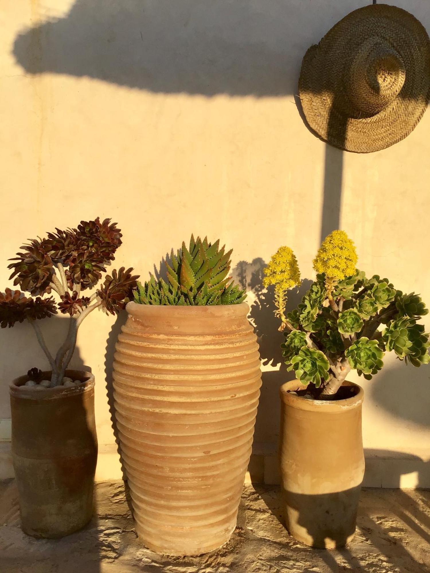 Dar Alya Essaouira Maison Et Table D'Hotes Al Ghar Екстериор снимка